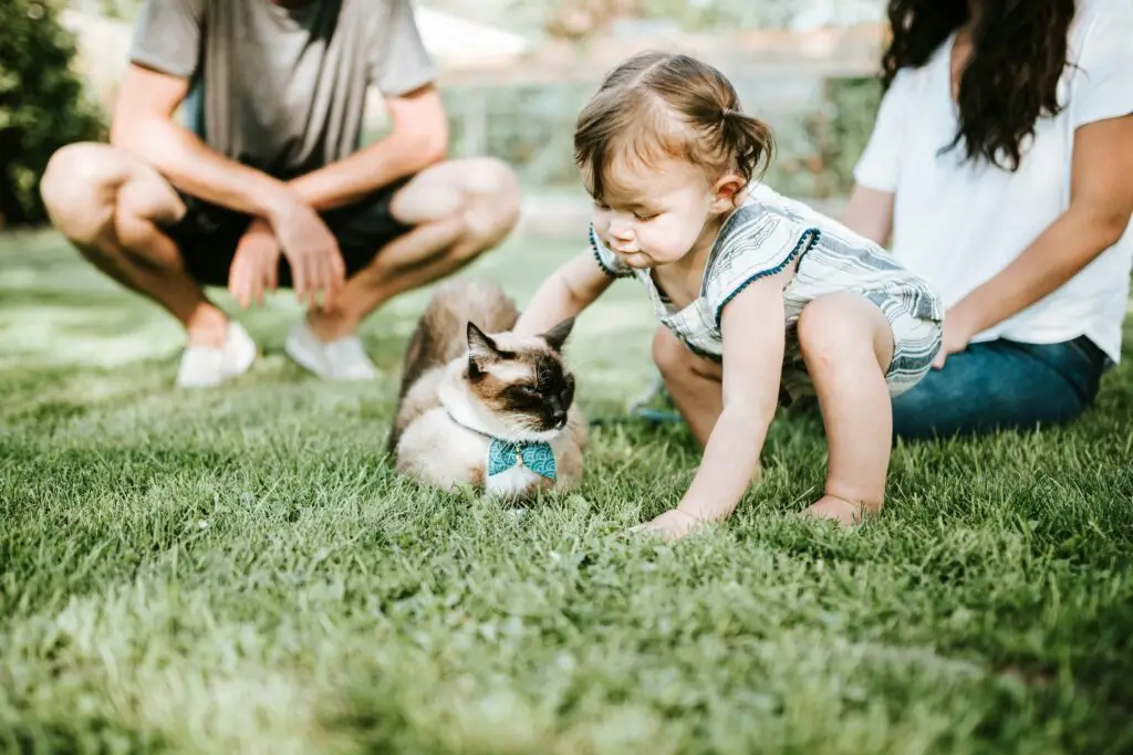 chewy-59TTmbSL1Yw-unsplash